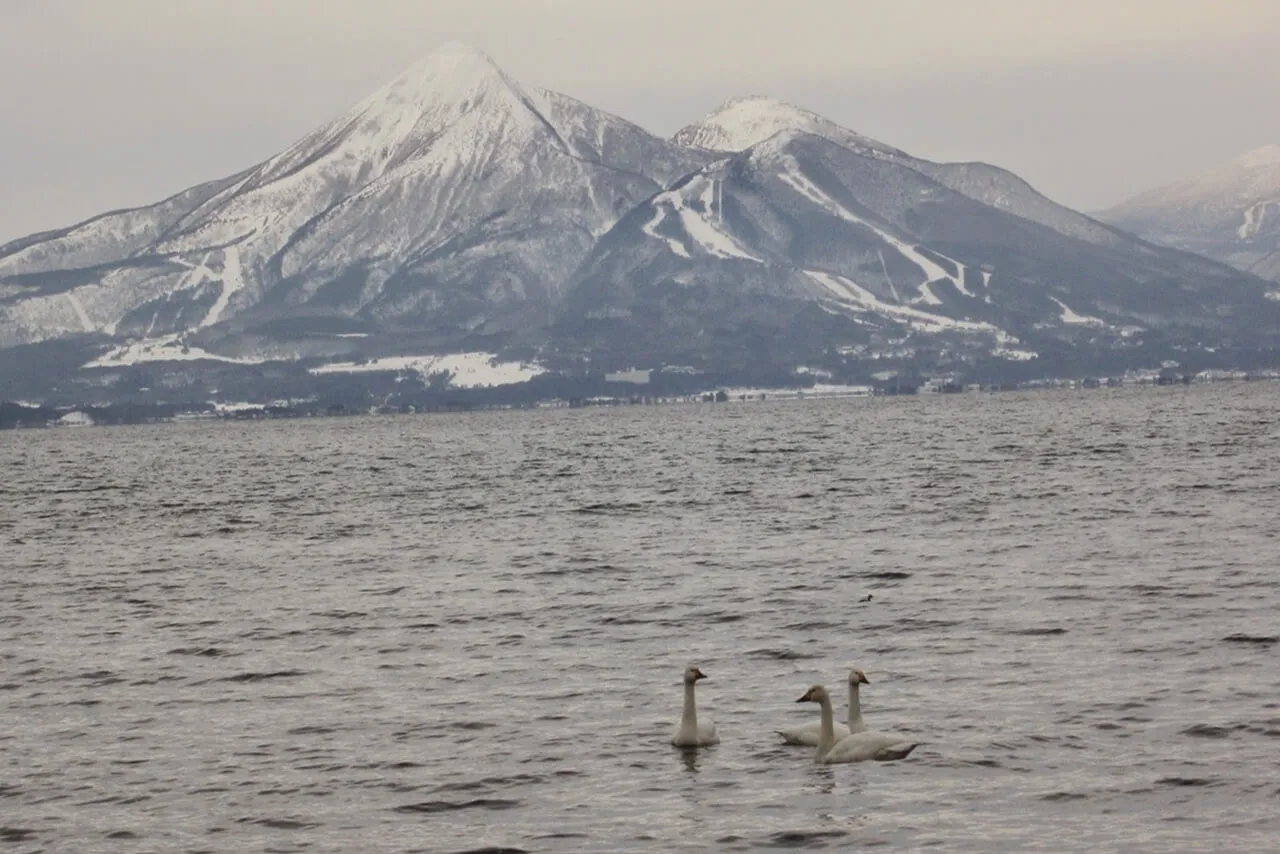 インタビューの様子
