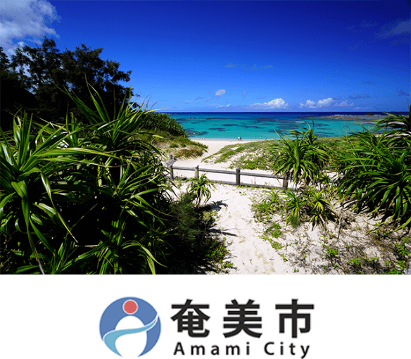 奄美市