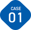 case 01